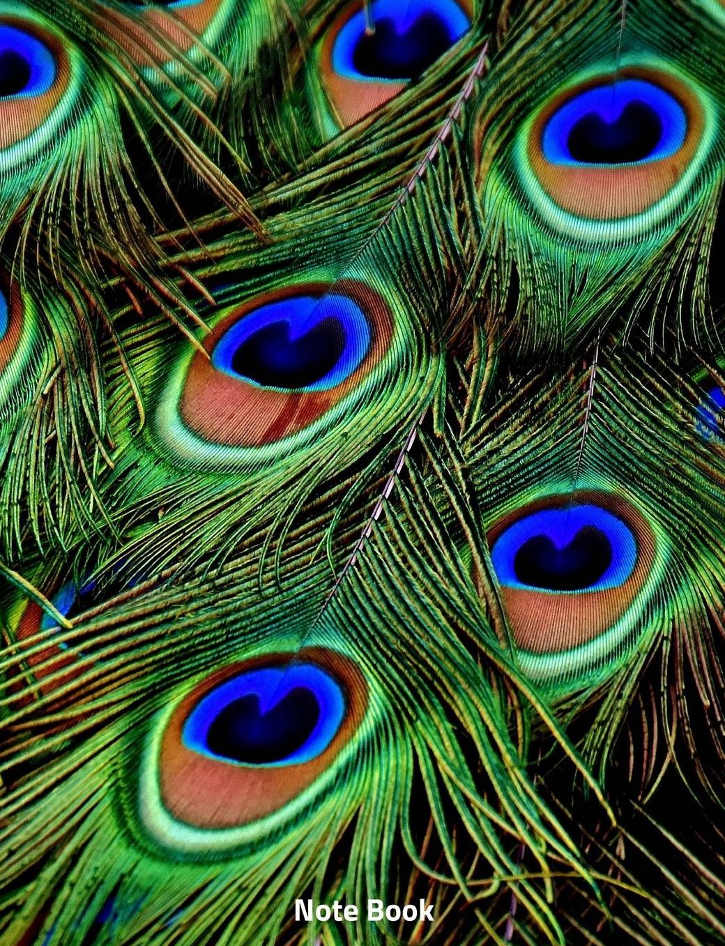 Note Book: Peacock Feathers, Notebook, Wide Lined, 200 Paged 7.44 X 9.69, Feathers Colour