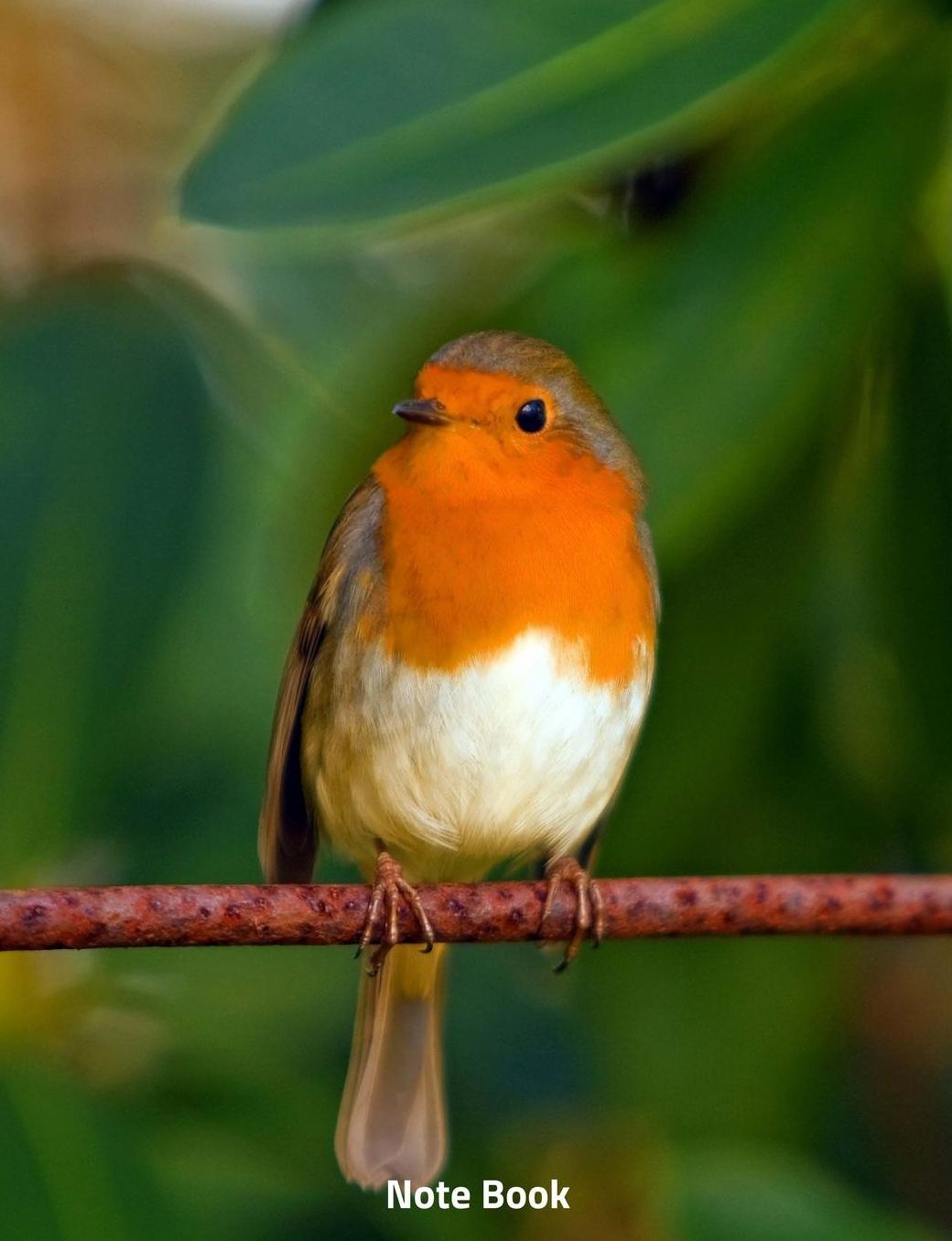 Note Book: Robin on a Branch, Notebook, Wide Lined, 200 Paged 7.44 X 9.69, Birds Garden