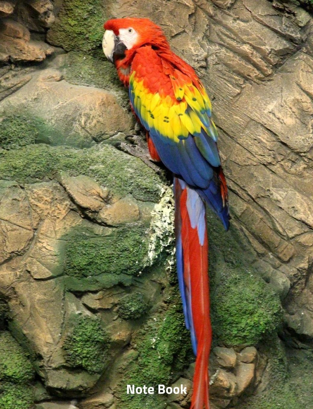 Note Book: The Mackaw Parrot, Notebook, Wide Lined, 200 Paged 7.44 X 9.69, Birds of Asia