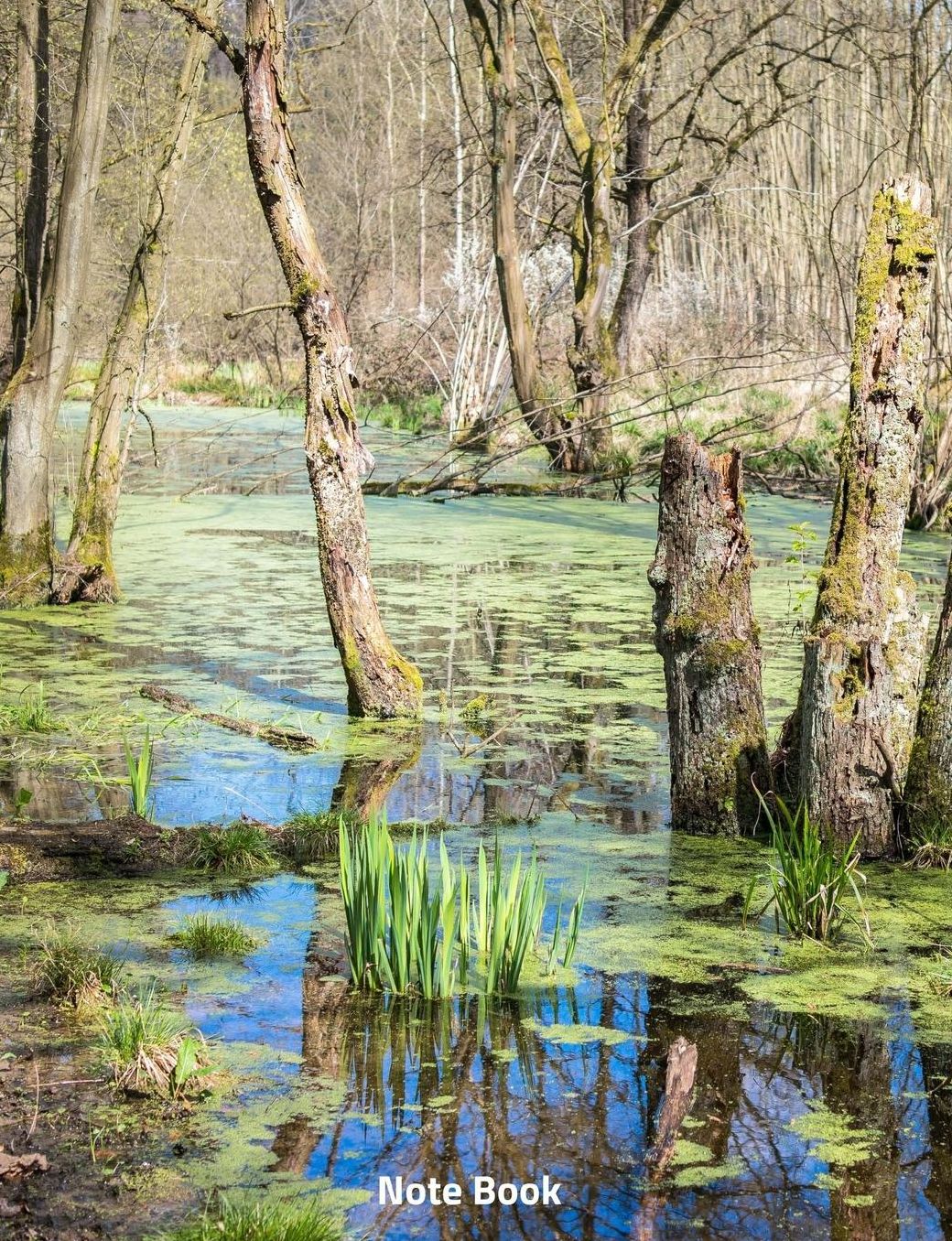 Note Book: Trees in the Swamp, Writing Book, Wide Lined, 200 Paged 7.44 X 9.69