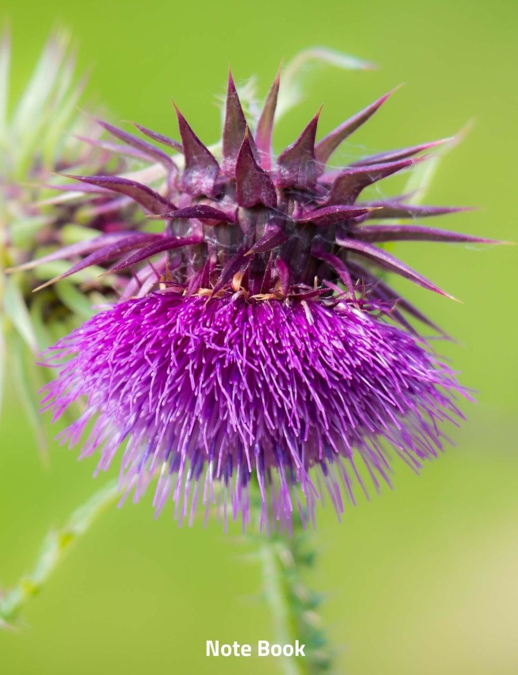 Note Book: Flowered Thistle, Writing Book, Wide Lined, 200 Paged 7.44 X 9.69