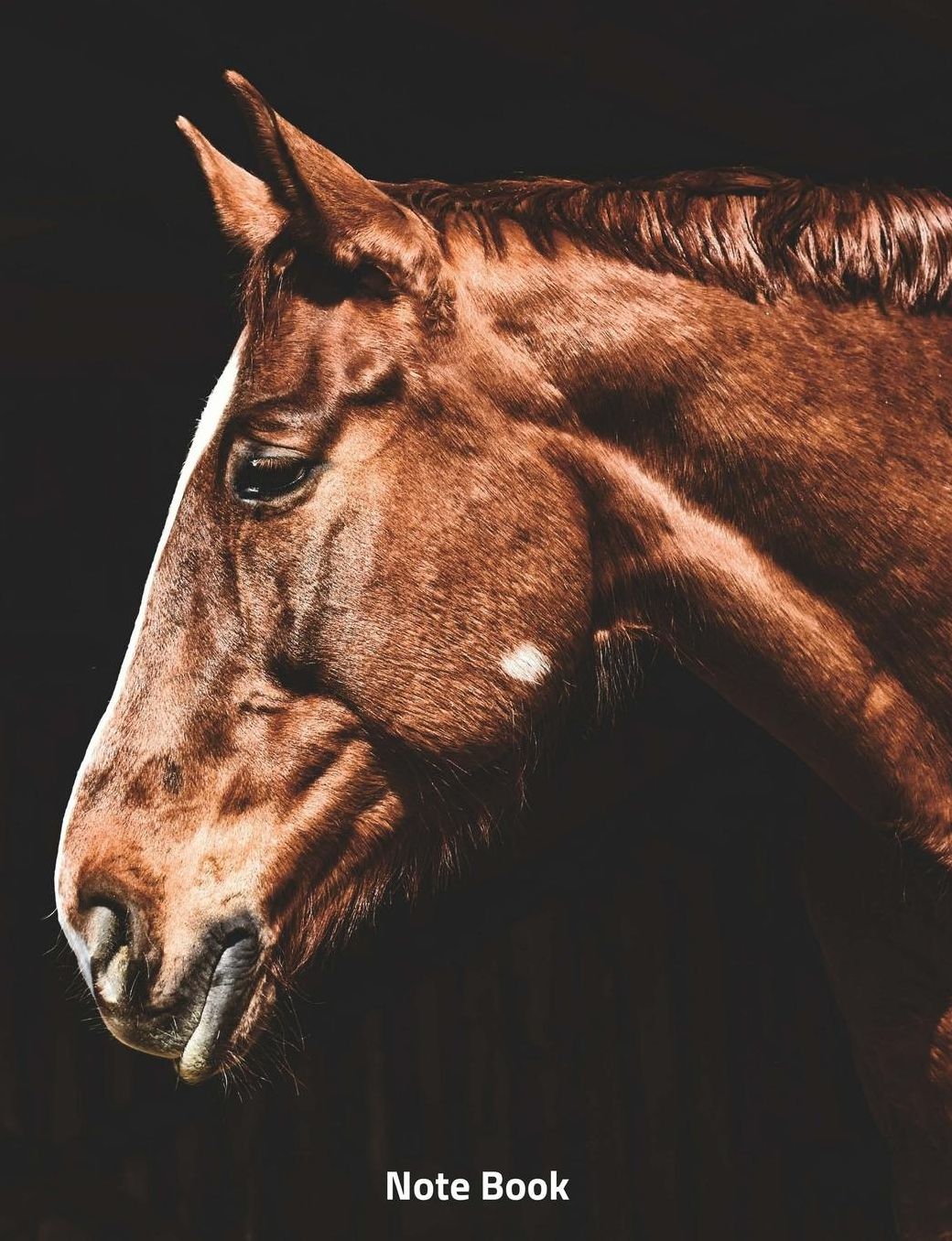Note Book: Horse Portrait, Writing Book, Wide Ruled, 200 Paged 7.44 X 9.69