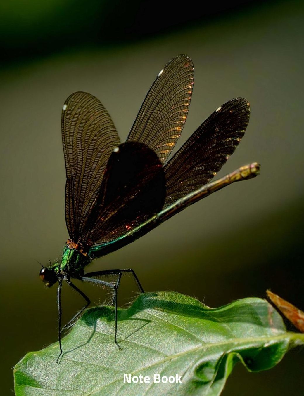 Note Book: Dragonfly Landing, Insect of the Water and Air, Writing Book, Wide Ruled, 200 Paged 7.44 X 9.69,