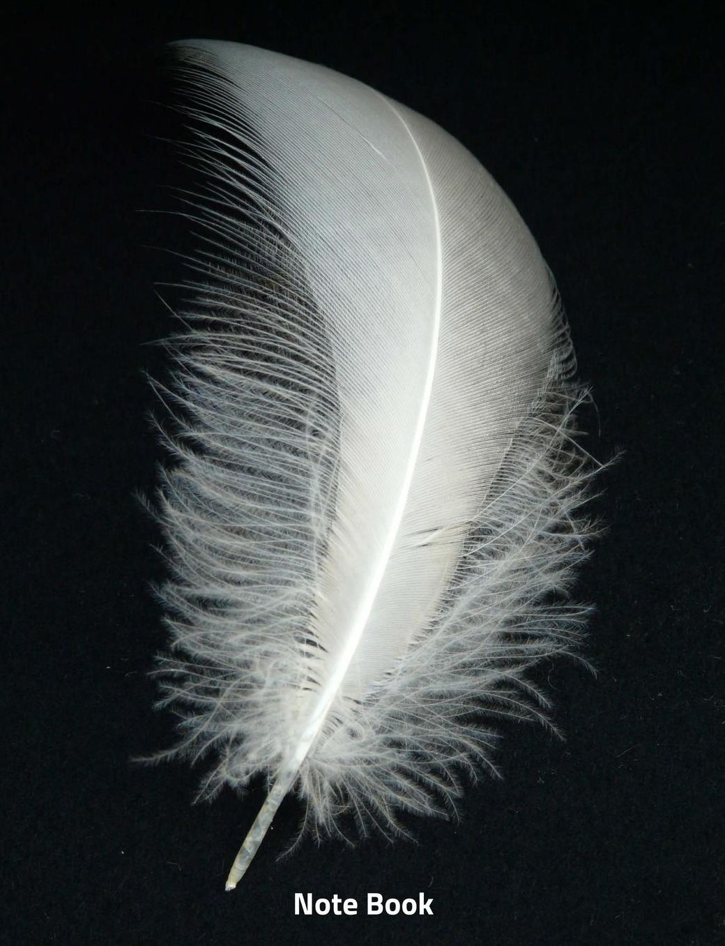Note Book: White Angel Feather, Angel Message, Writing Book, Wide Ruled, 200 Paged 7.44 X 9.69,