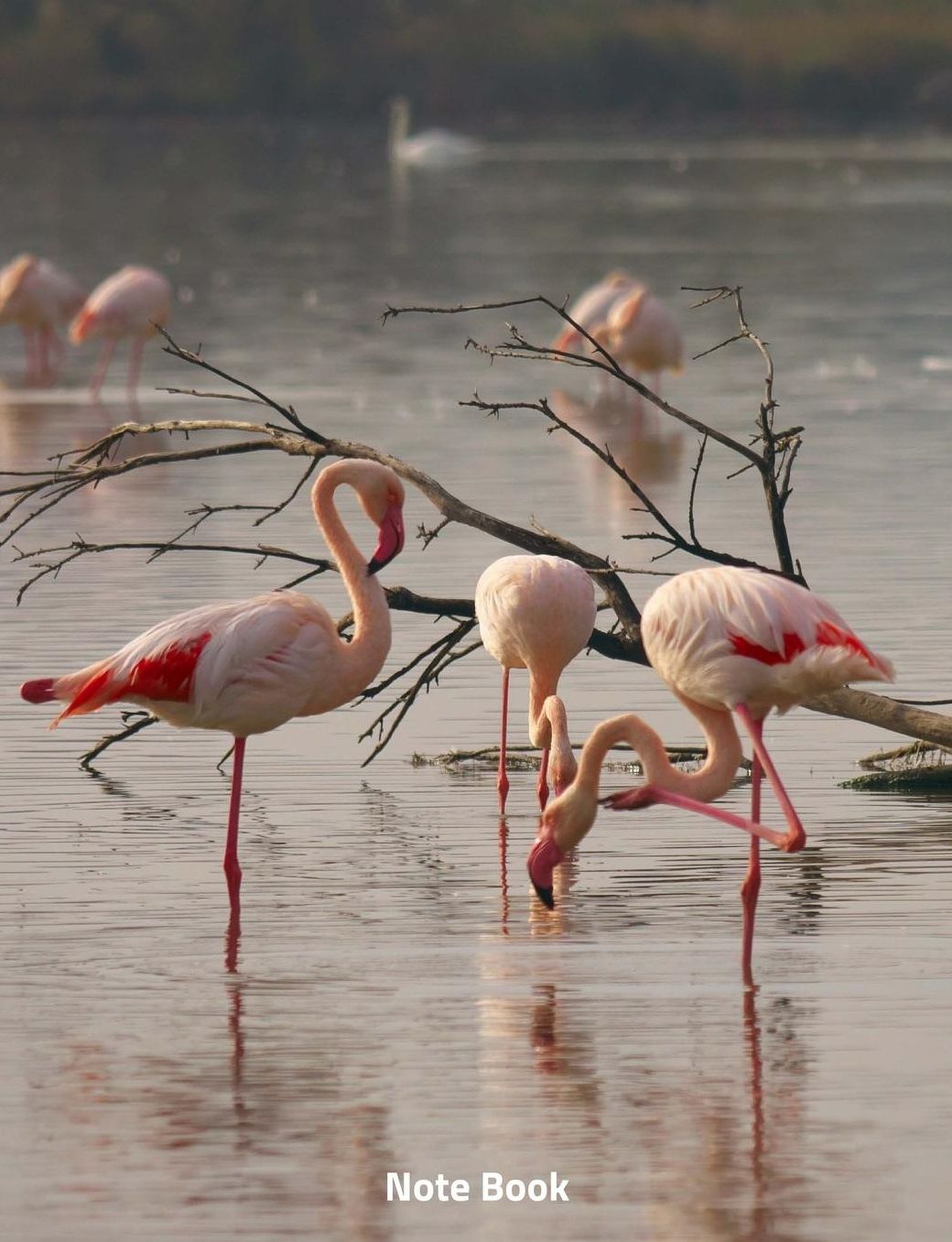 Note Book: Flamingo Flock, Writing Book, Wide Ruled, 200 Paged 7.44 X 9.69