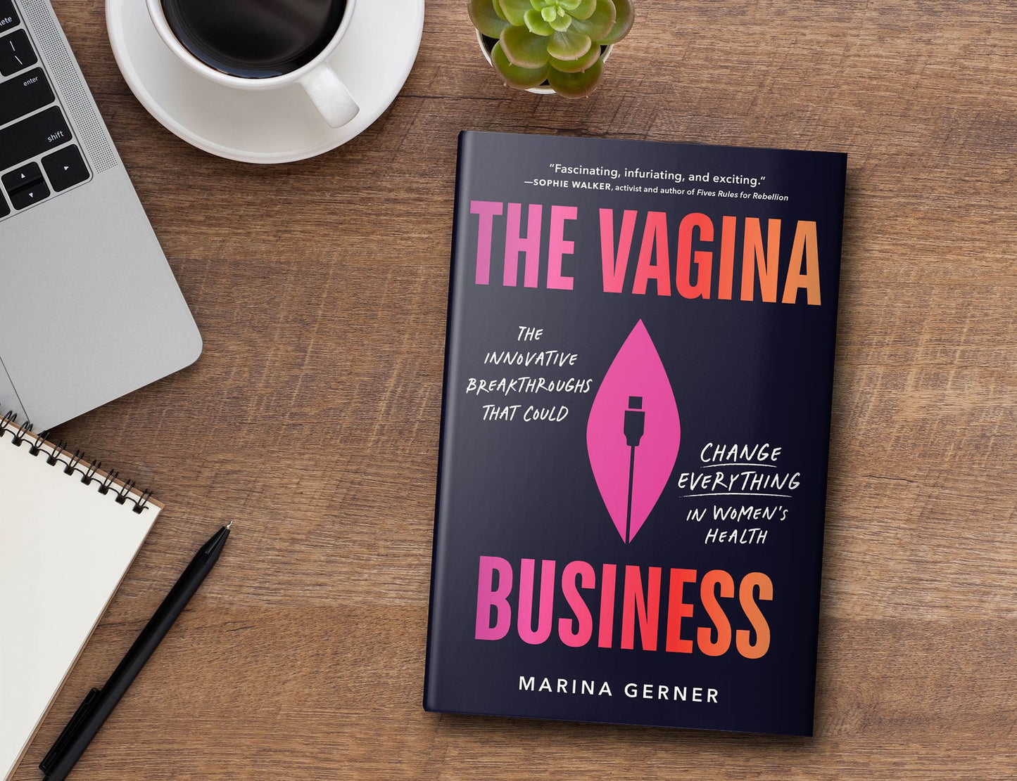 The Vagina Business: The Innovative Breakthroughs that Could Change Everything in Women's Health