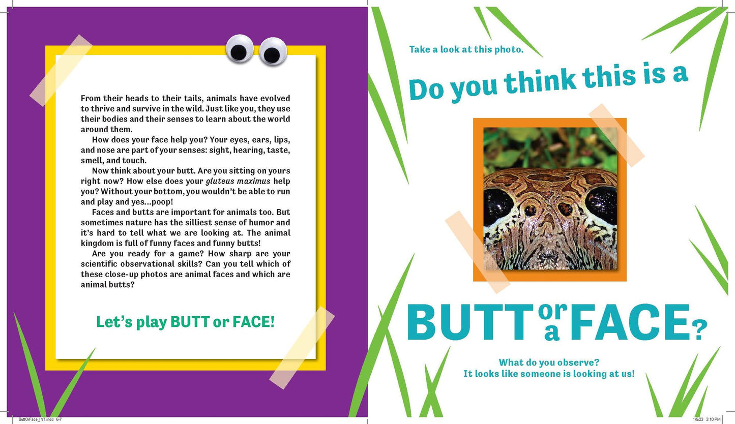 Butt or Face?