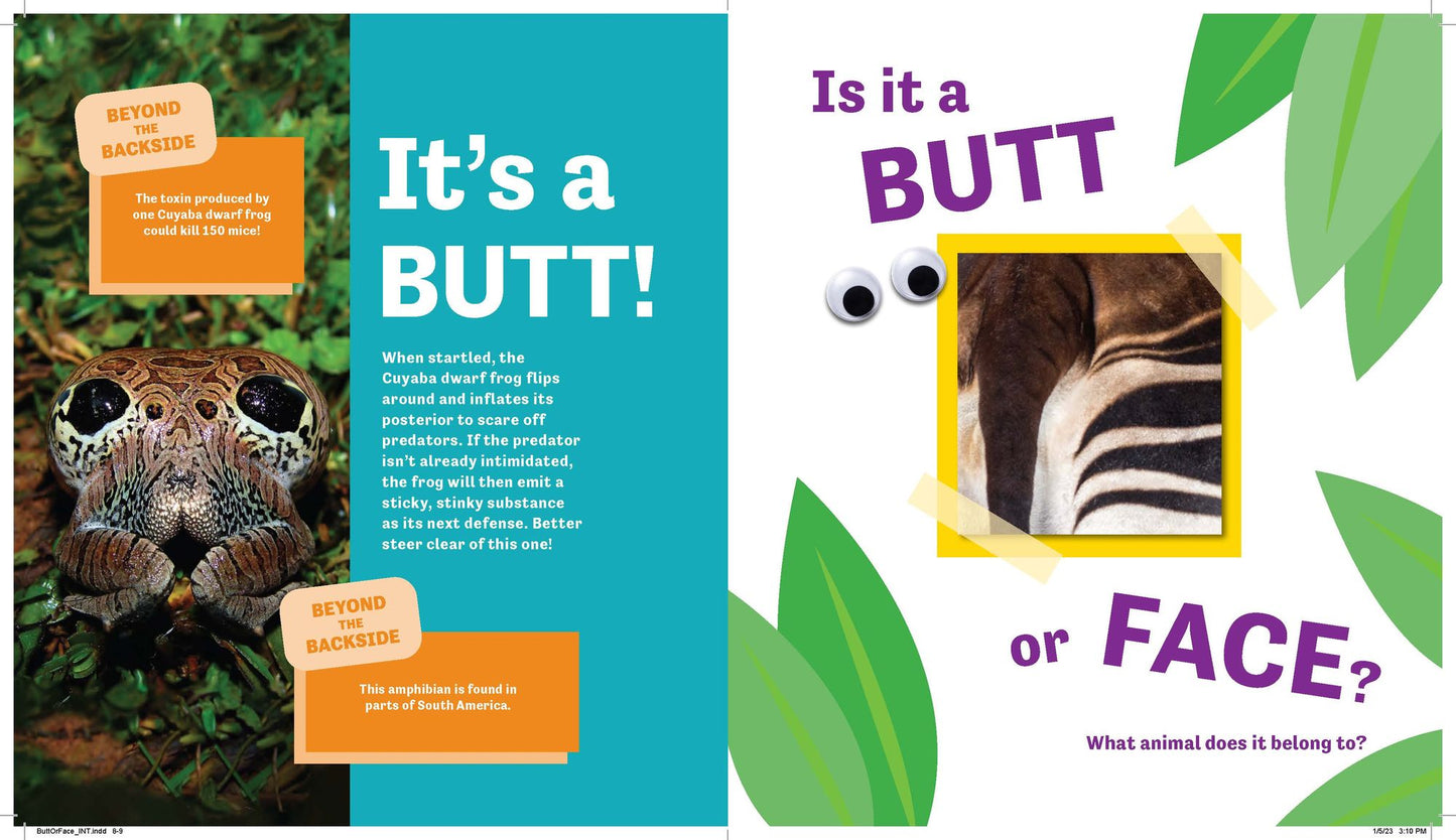 Butt or Face?