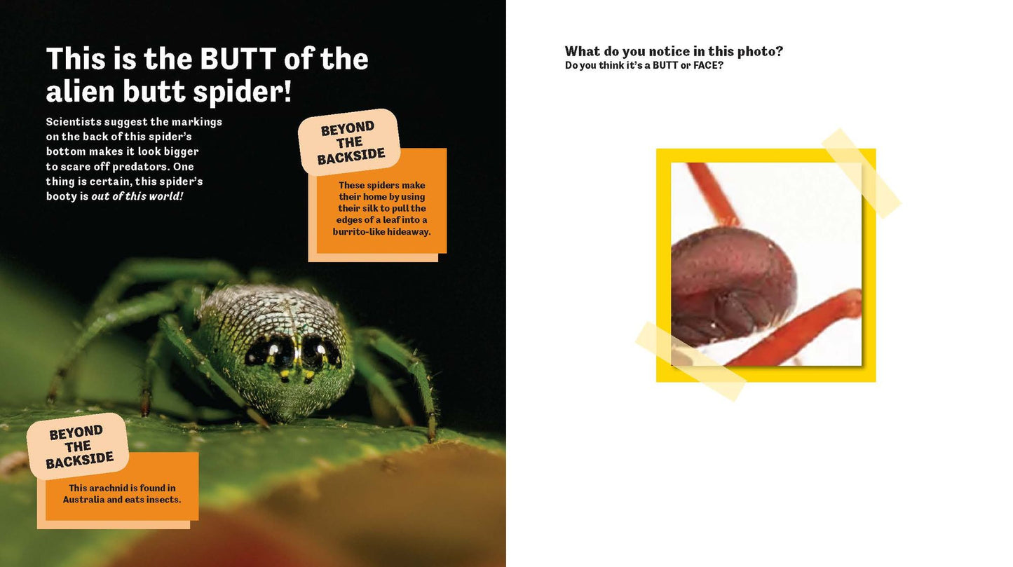 Butt or Face? Volume 2: Revenge of the Butts