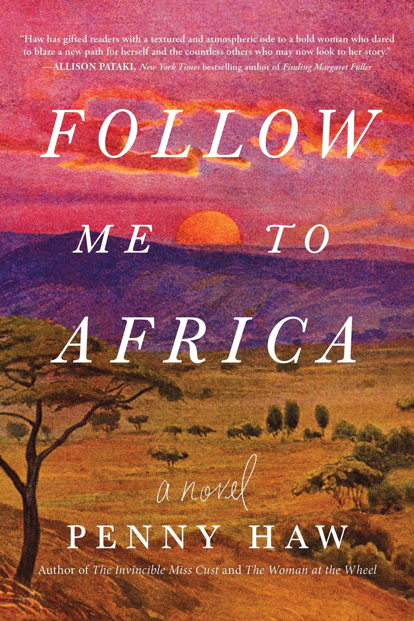 Follow Me to Africa: A Novel