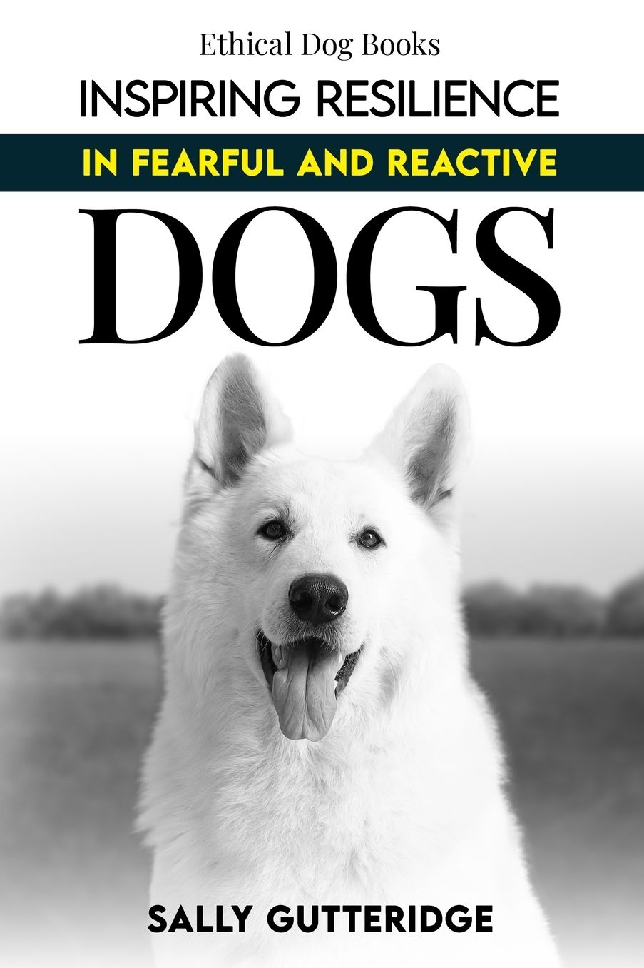 Inspiring Resilience in Fearful and Reactive Dogs