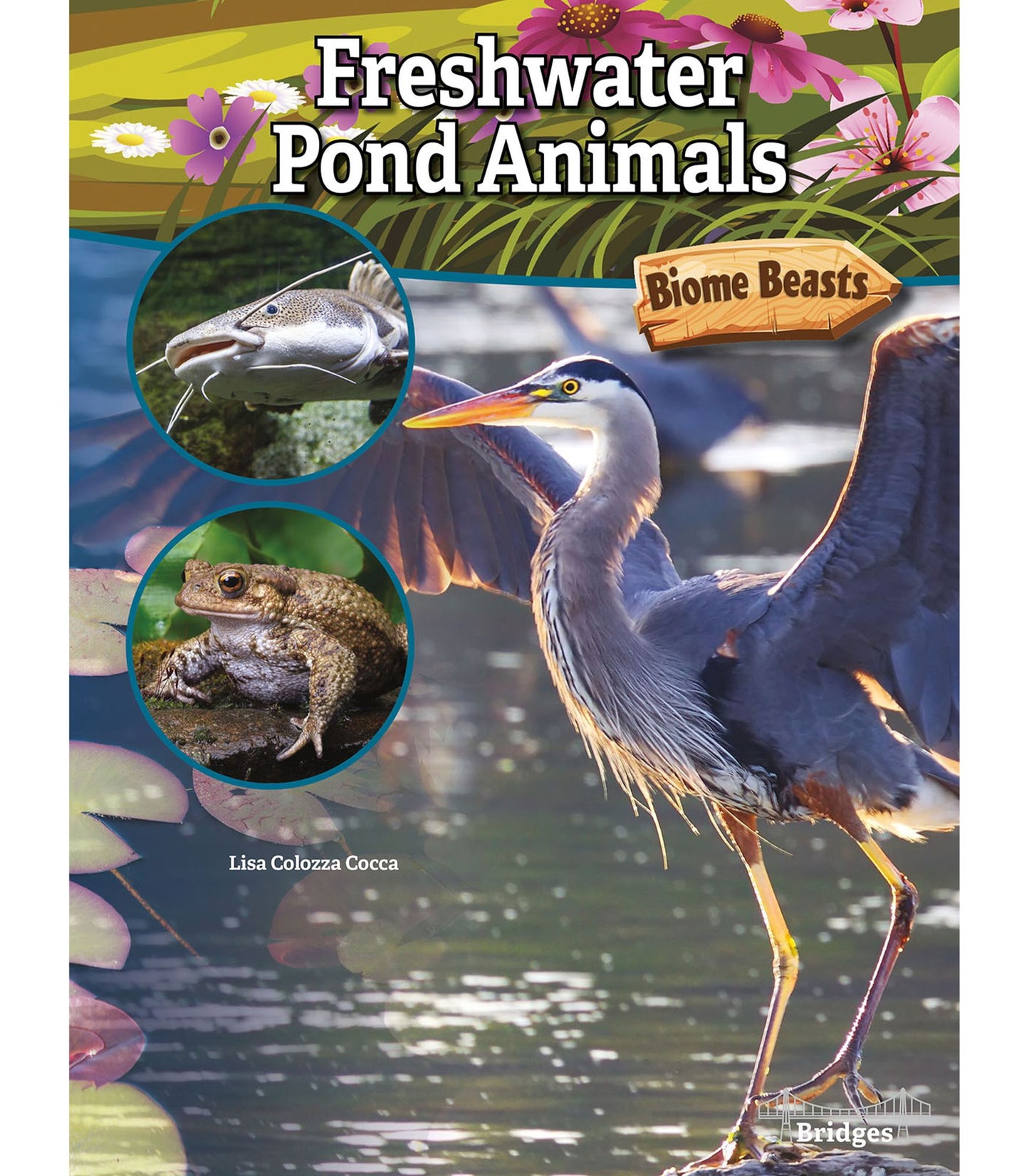 Freshwater Pond Animals