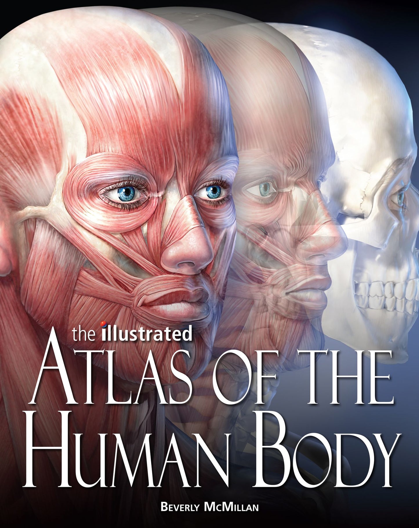 The Illustrated Atlas of the Human Body