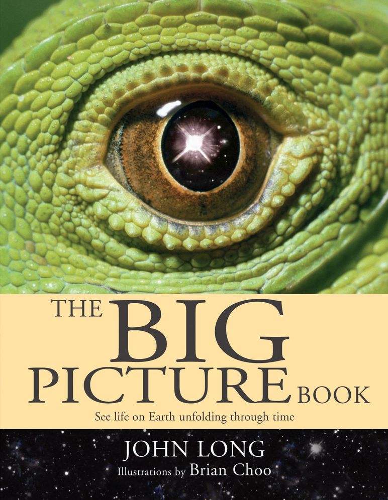 The Big Picture Book