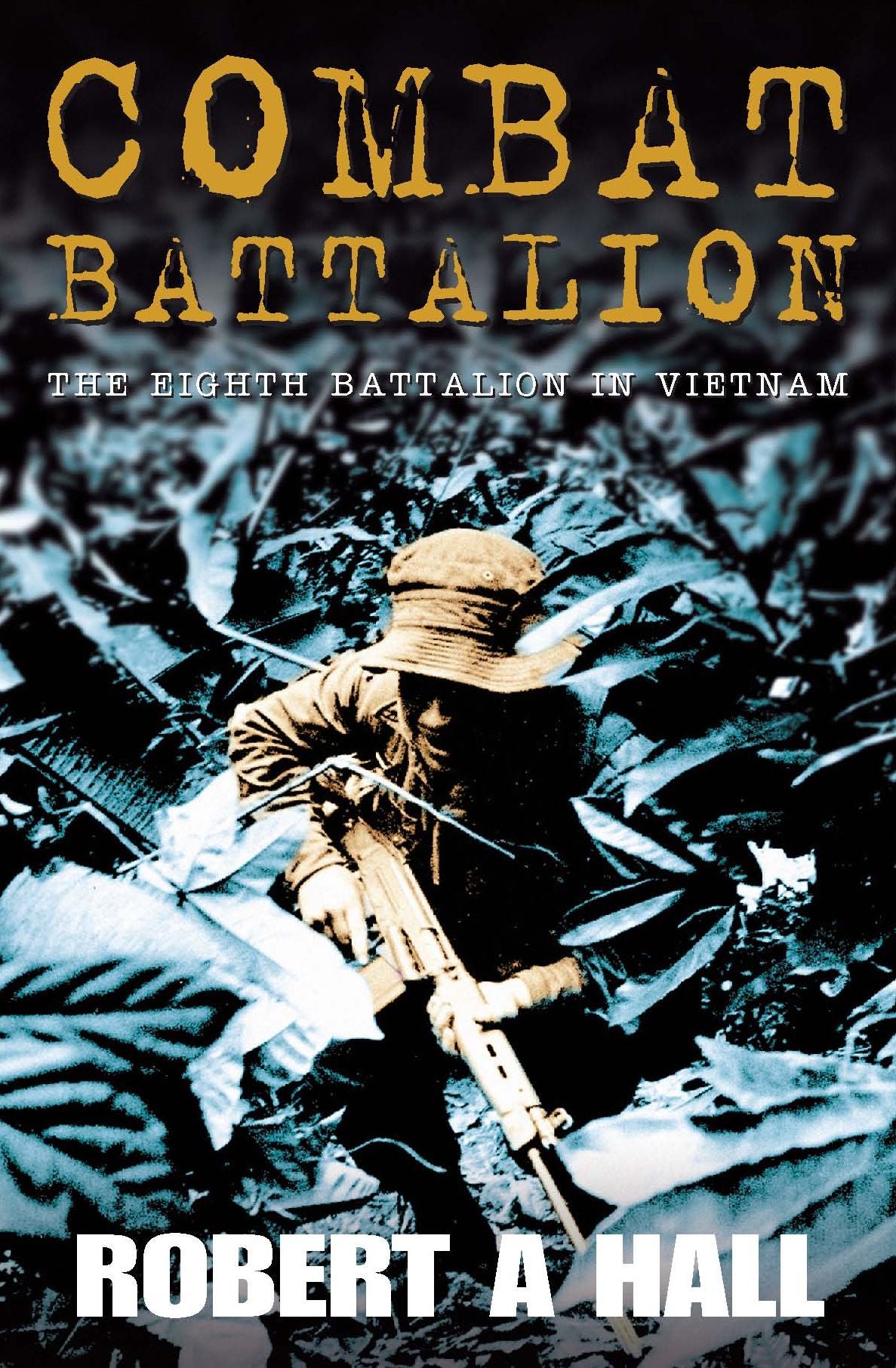 Combat Battalion: The 8th Battle in Vietnam