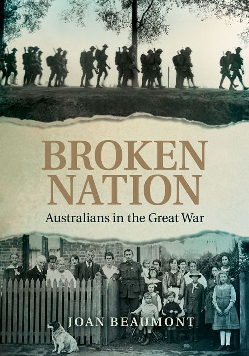 Broken Nation : Australians in the Great War
