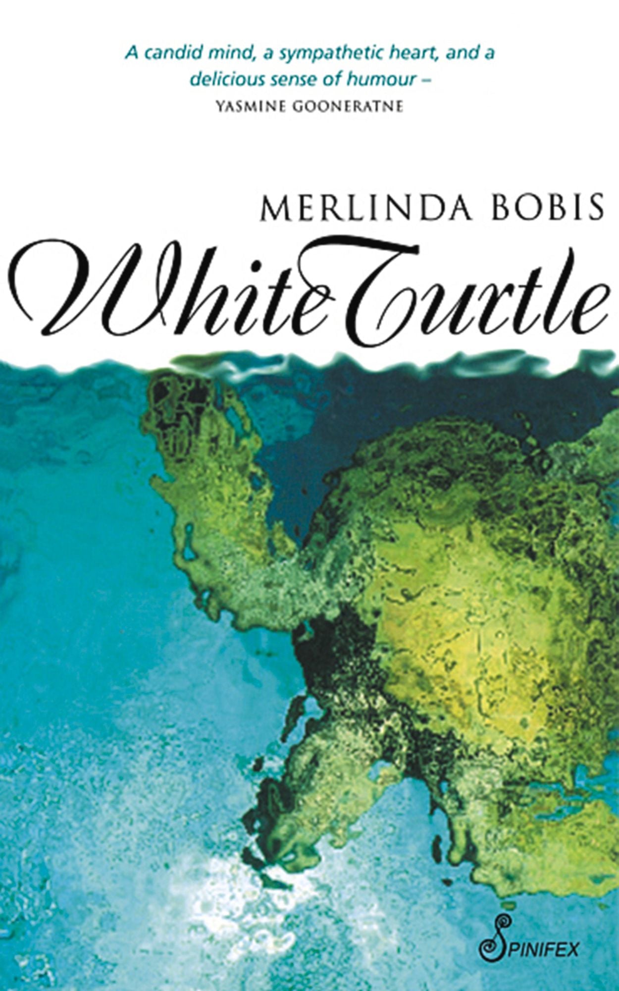 White Turtle