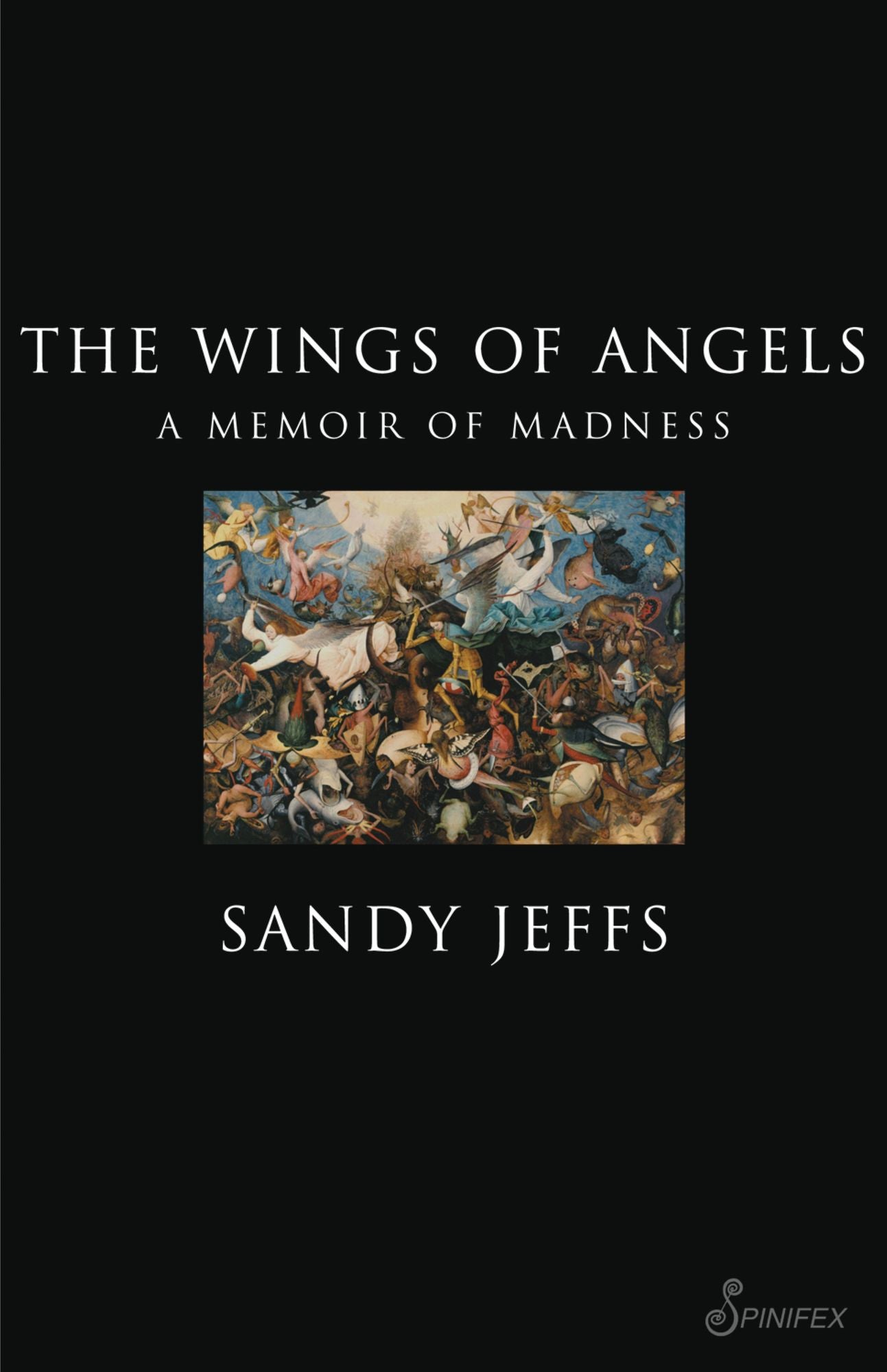 The Wings of Angels: A Memoir of Madness