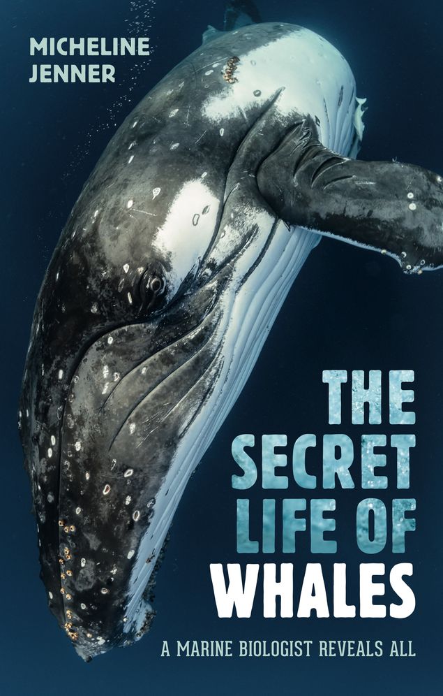 The Secret Life of Whales: A Marine Biologist Reveals All
