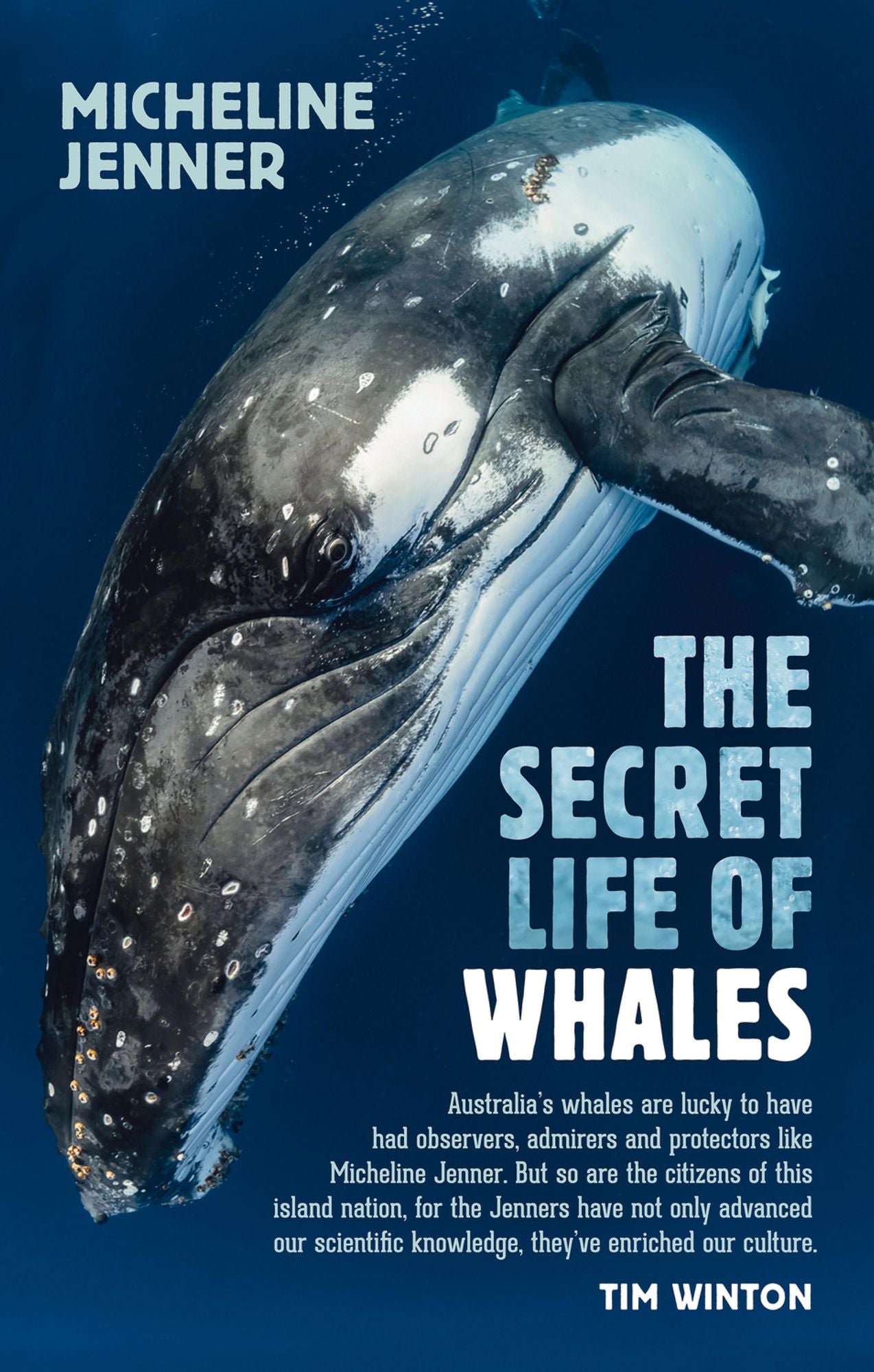 The Secret Life of Whales: A Marine Biologist Reveals All
