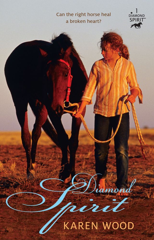 Diamond Spirit (Diamond Spirit Series #1)
