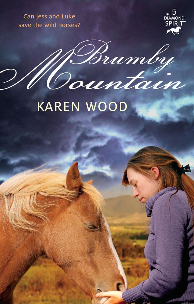 Brumby Mountain (Diamond Spirit Series #5)