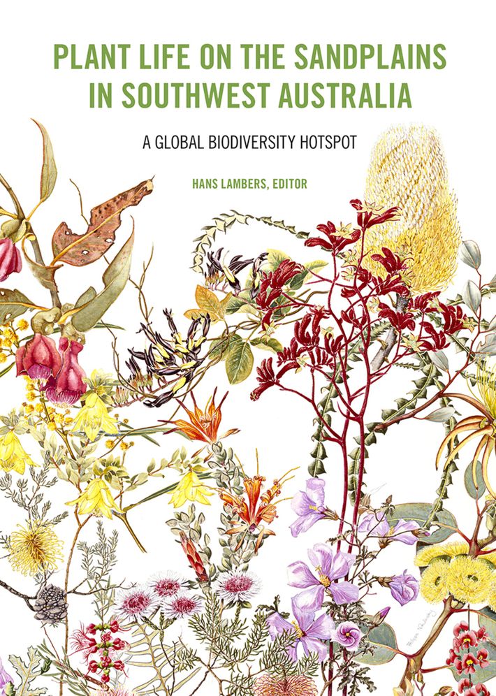 Plant Life on the Sandplains in Southwest Australia: A Global Biodiverity Hotspot