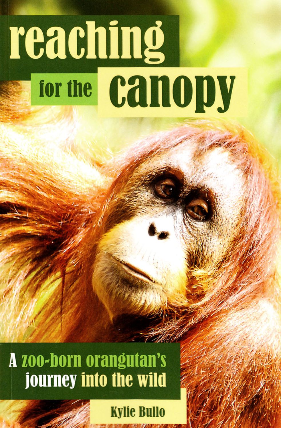 Reaching for the Canopy: A zoo-born orangutan's journey back to the wild