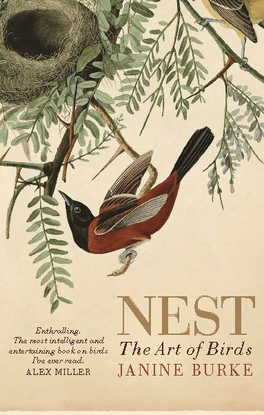 Nest: The Art of Birds
