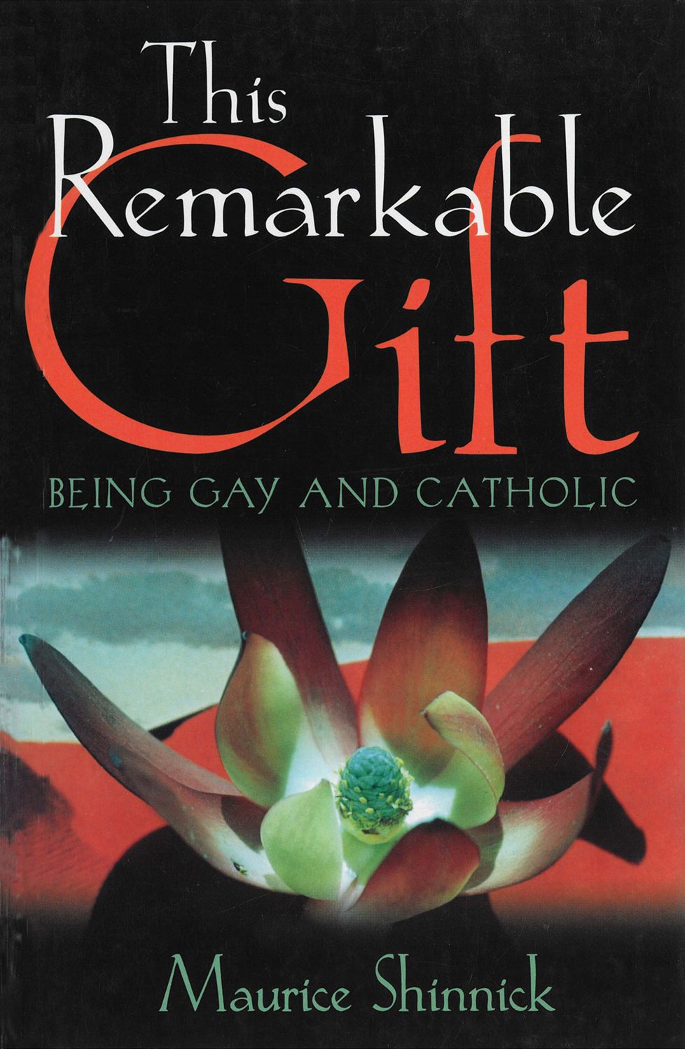 This Remarkable Gift: Being gay and Catholic