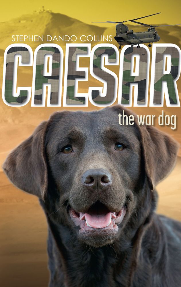 Caesar the War Dog