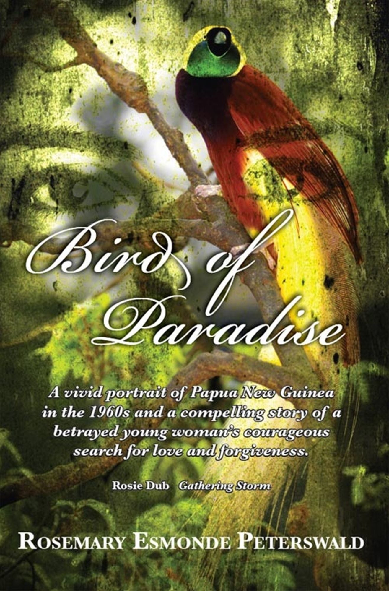 Bird of Paradise