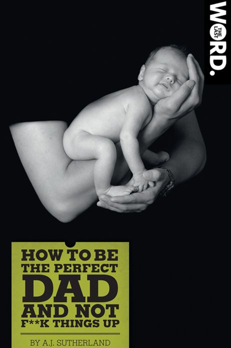 How To Be the Perfect Dad and Not F**k Things Up