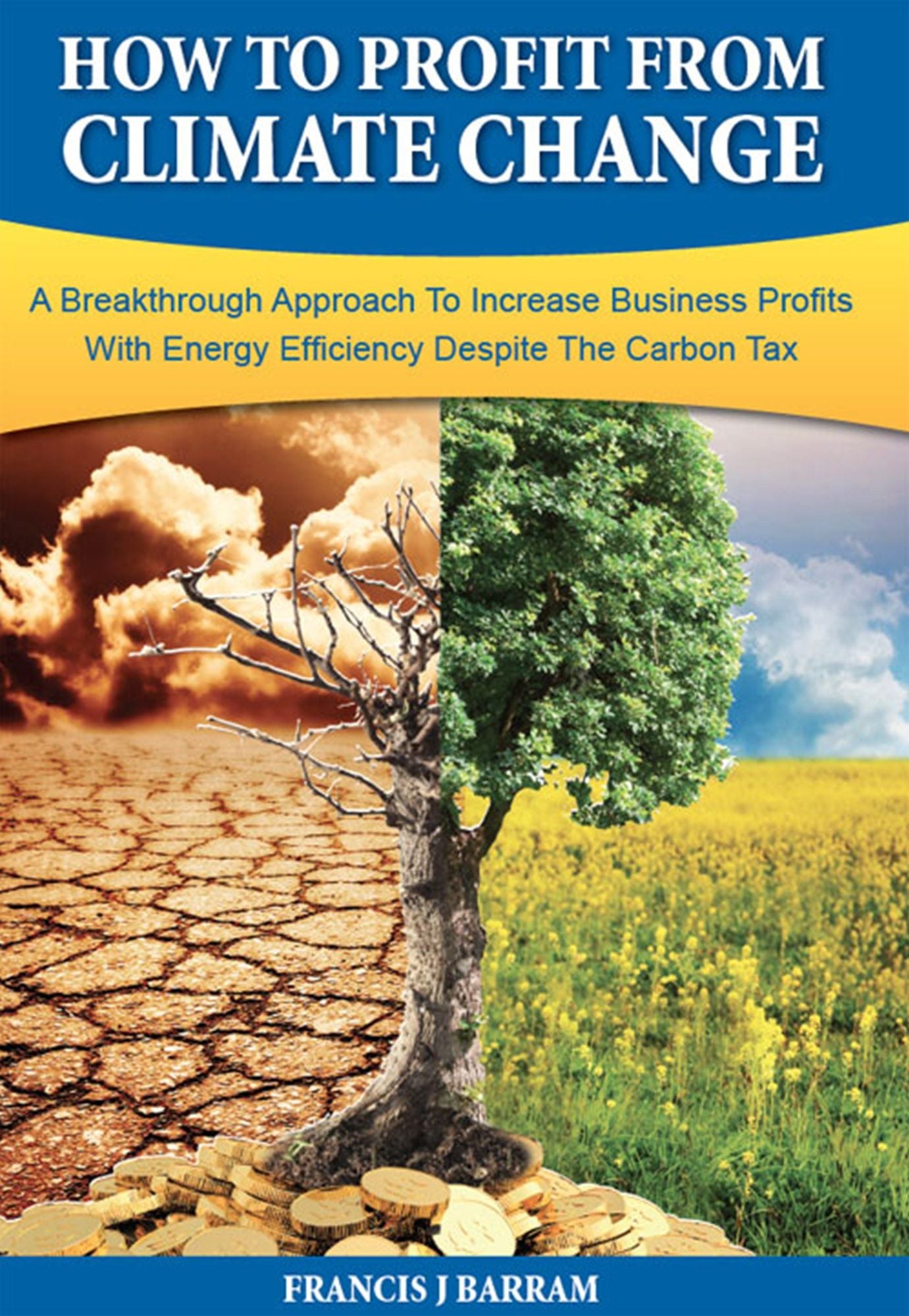 How to Profit From Climate Change: A Breakthrough Approach to Increase Business Profits With Energy Efficiency Despite the Carbon Tax