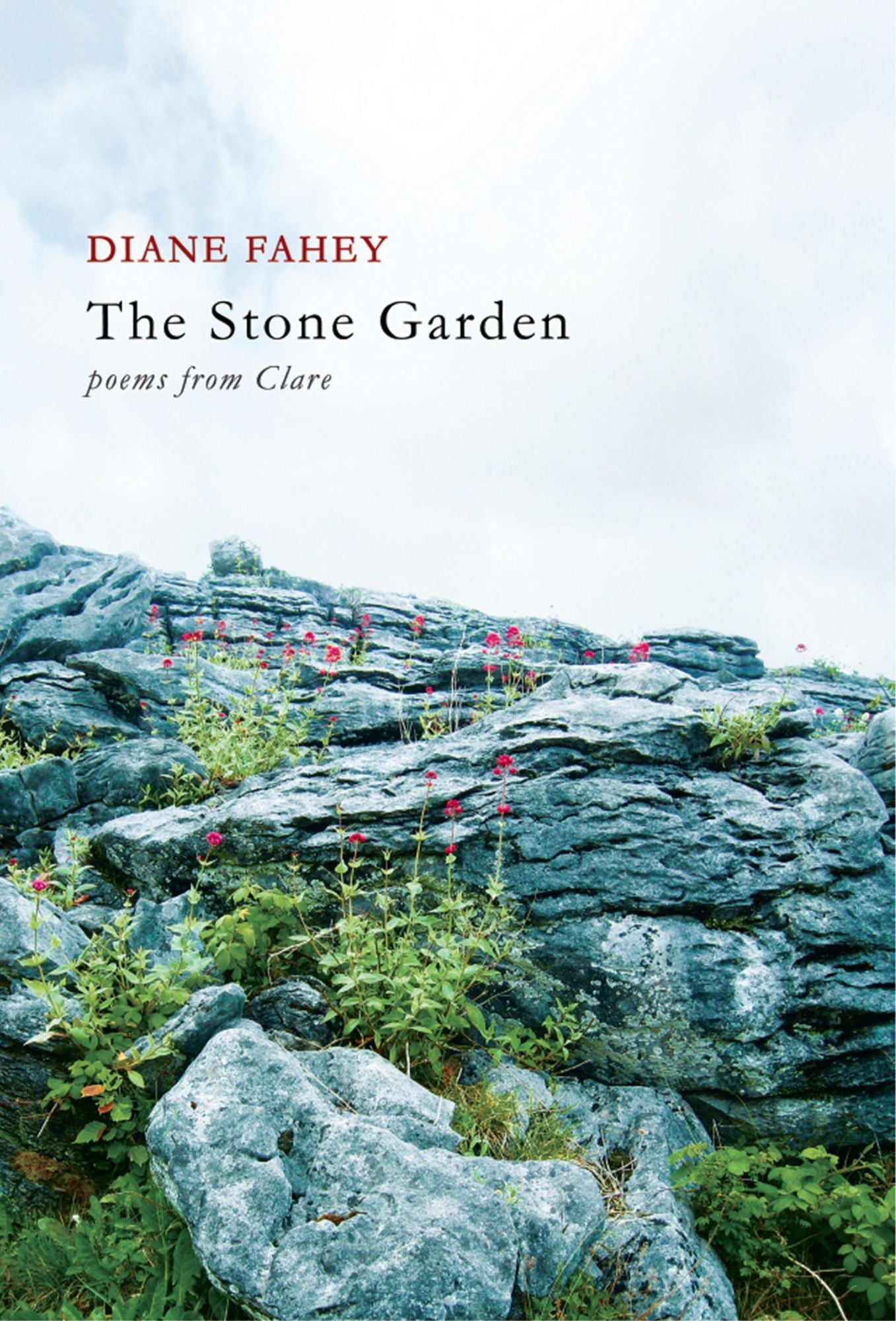 The Stone Garden: Poems from Clare