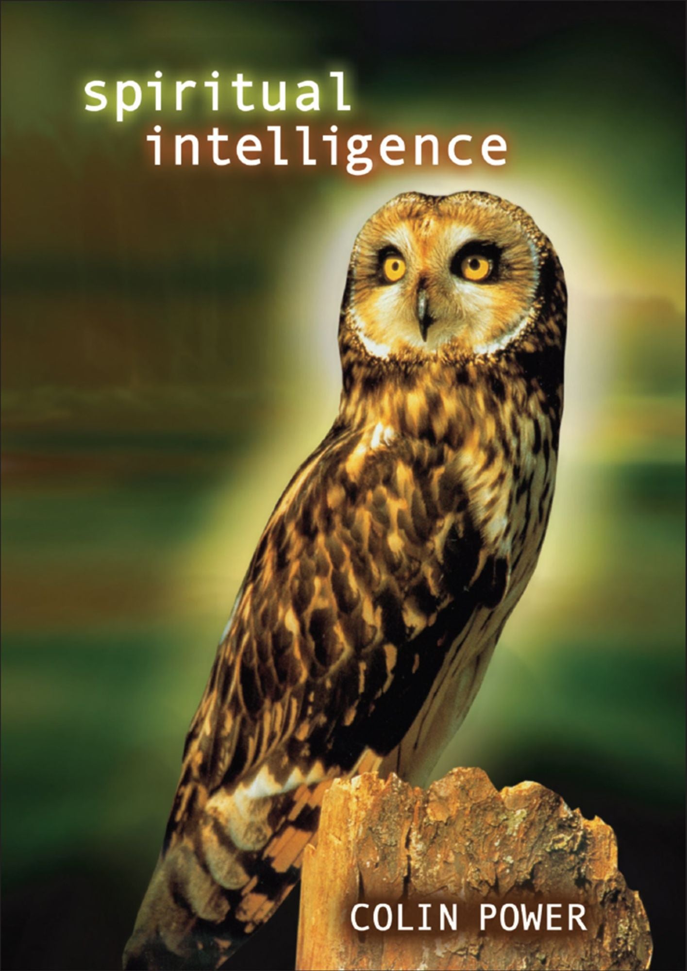 Spiritual Intelligence