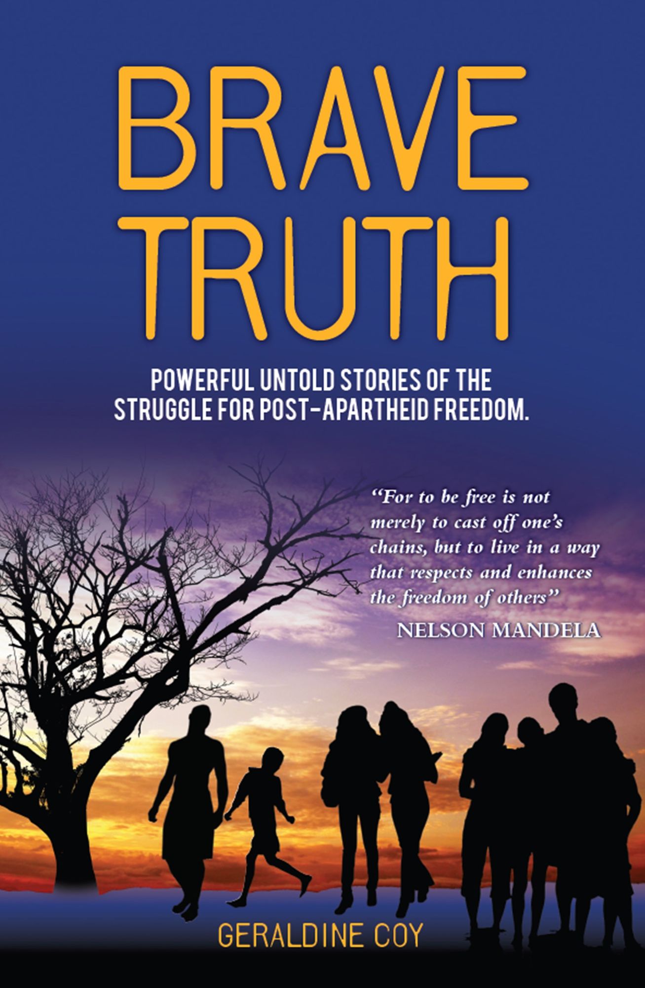 Brave Truth : Powerful untold stories of the struggle for post-apartheid freedom.