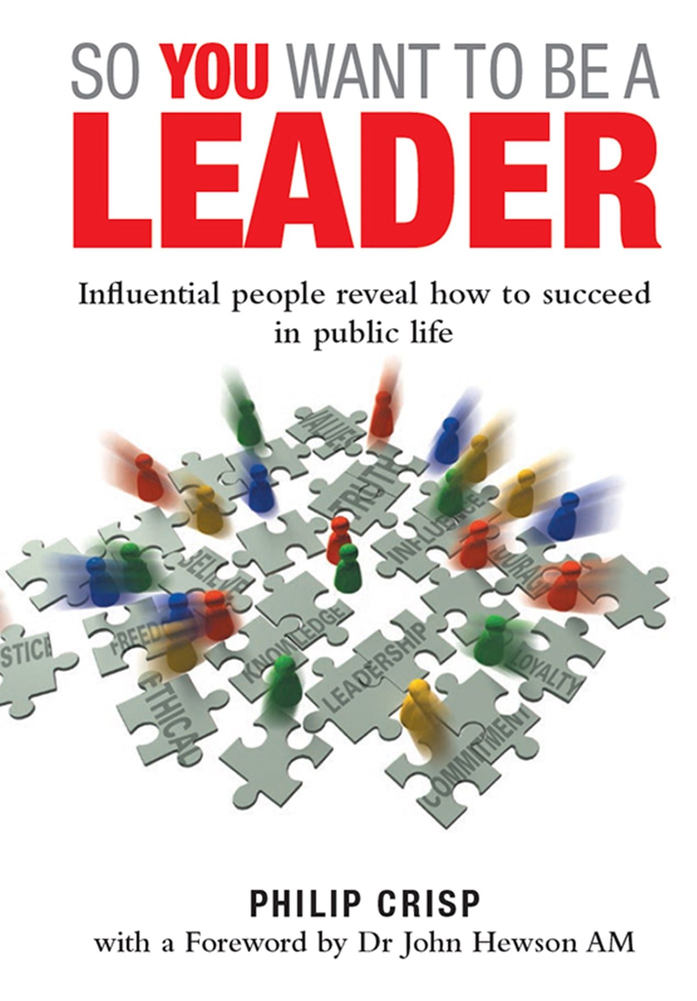 So You Want to Be a Leader : Influential people reveal how to succeed in public life