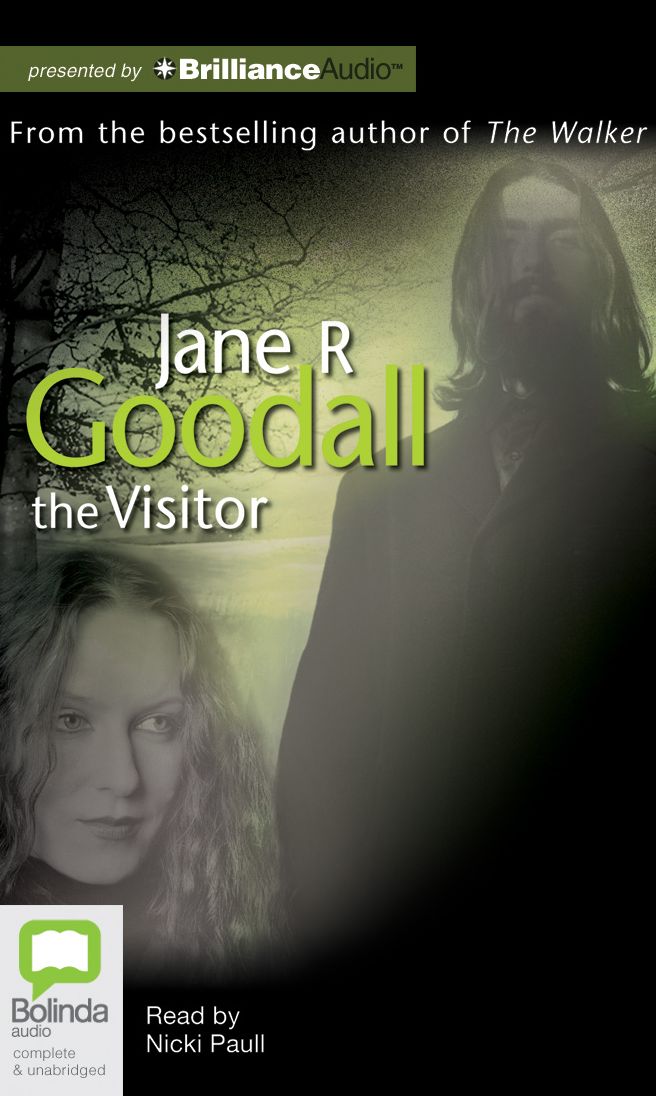 The Visitor