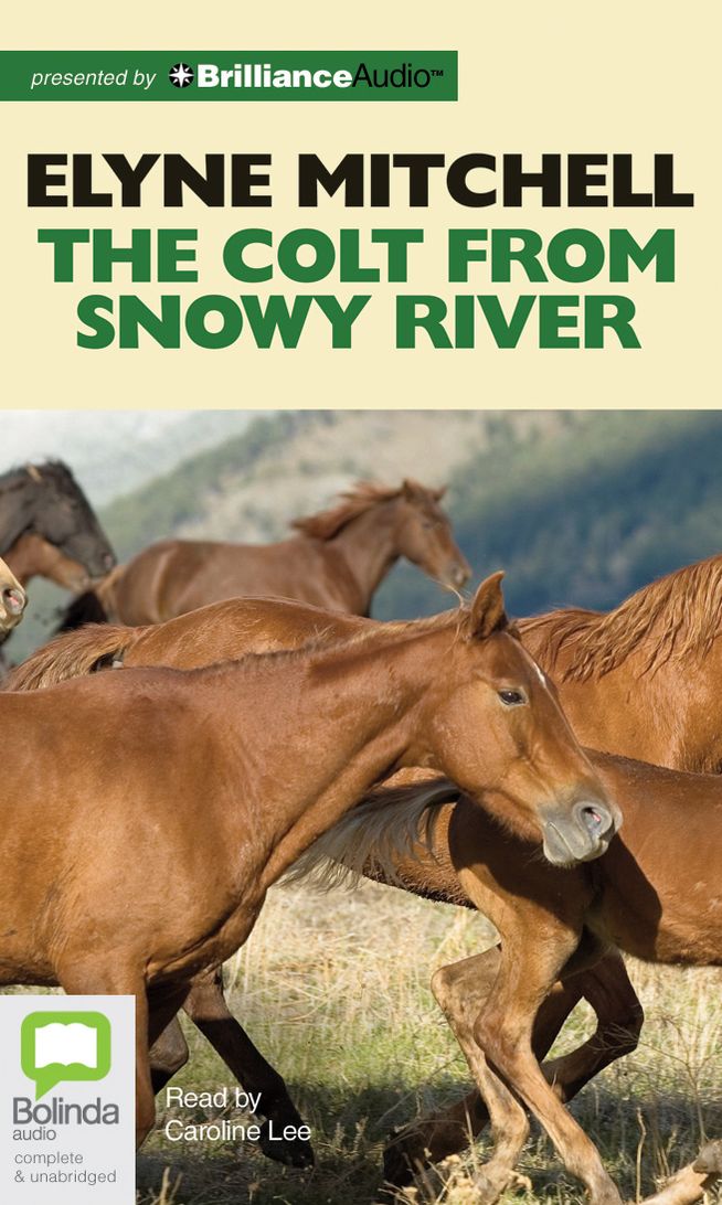 The Colt from Snowy River