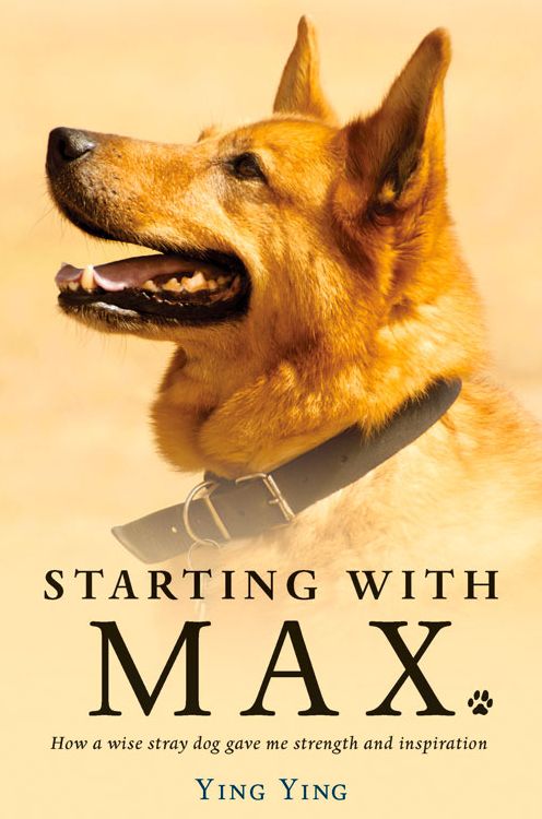 Starting with Max: How a Wise Stray Dog Gave Me Strength and Inspiration