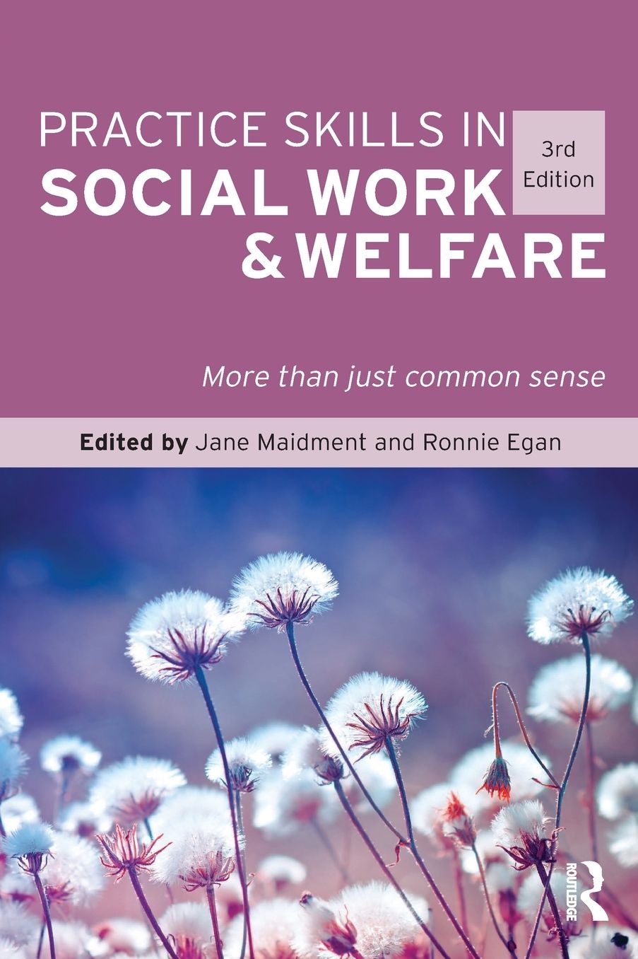 Practice Skills in Social Work & Welfare: More Than Just Common Sense