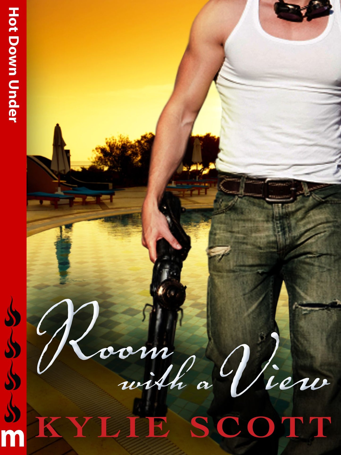 Room with a View: Hot Down Under (Flesh Series Novella)