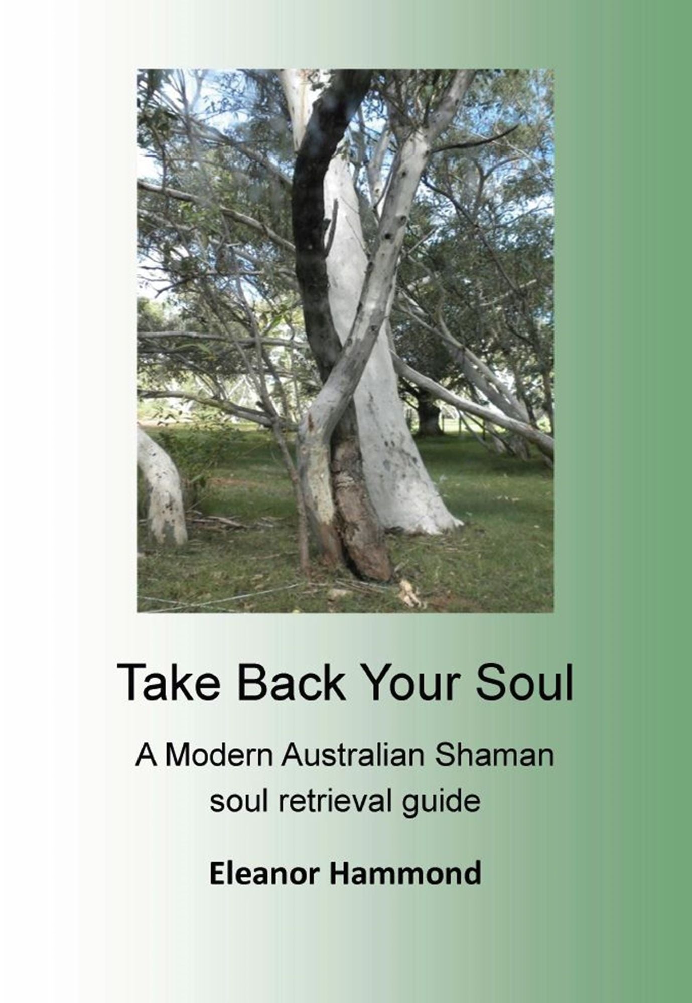 Take Back Your Soul : A Modern Australian Shaman soul retrieval guide