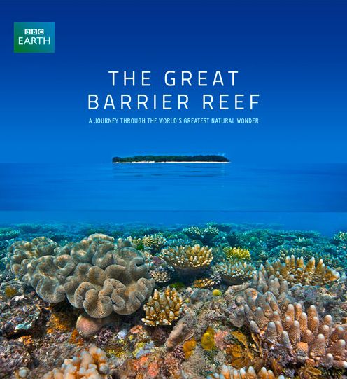 The Great Barrier Reef: A Journey Through the World's Greatest Natural Wonder