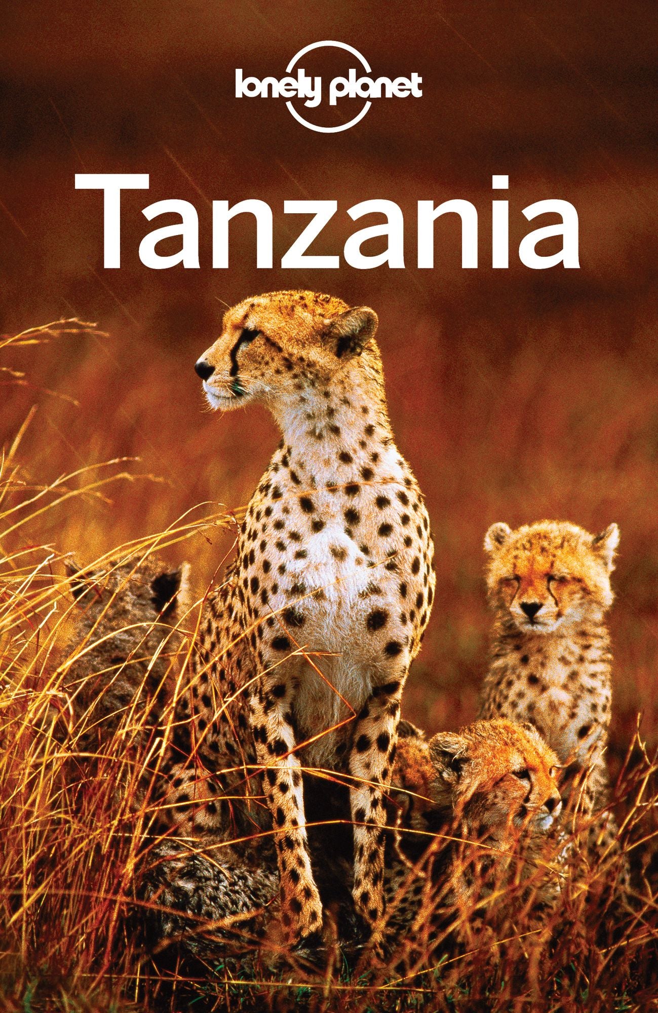 Lonely Planet Tanzania