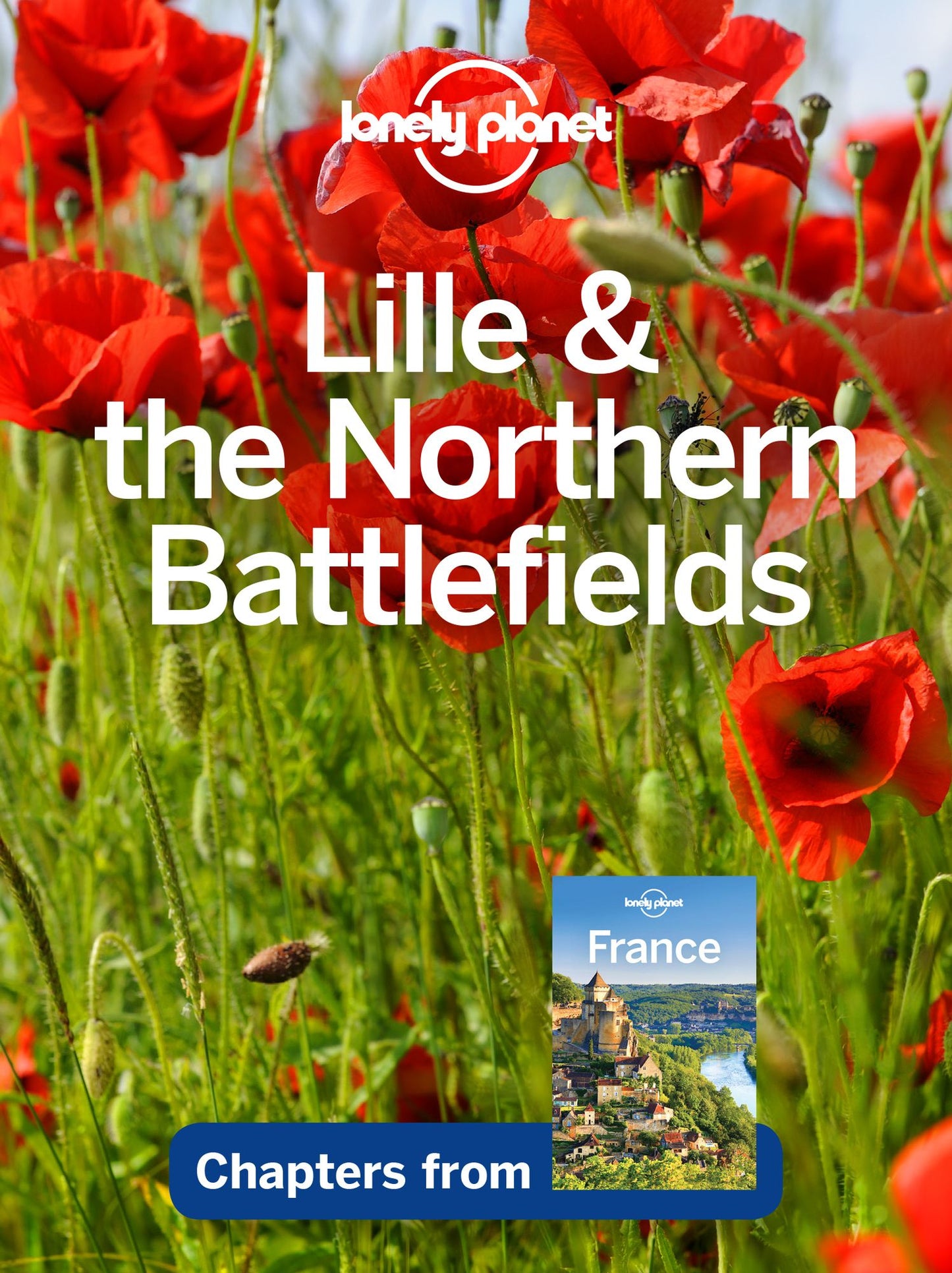 Lonely Planet Lille & the Northern Battlefields
