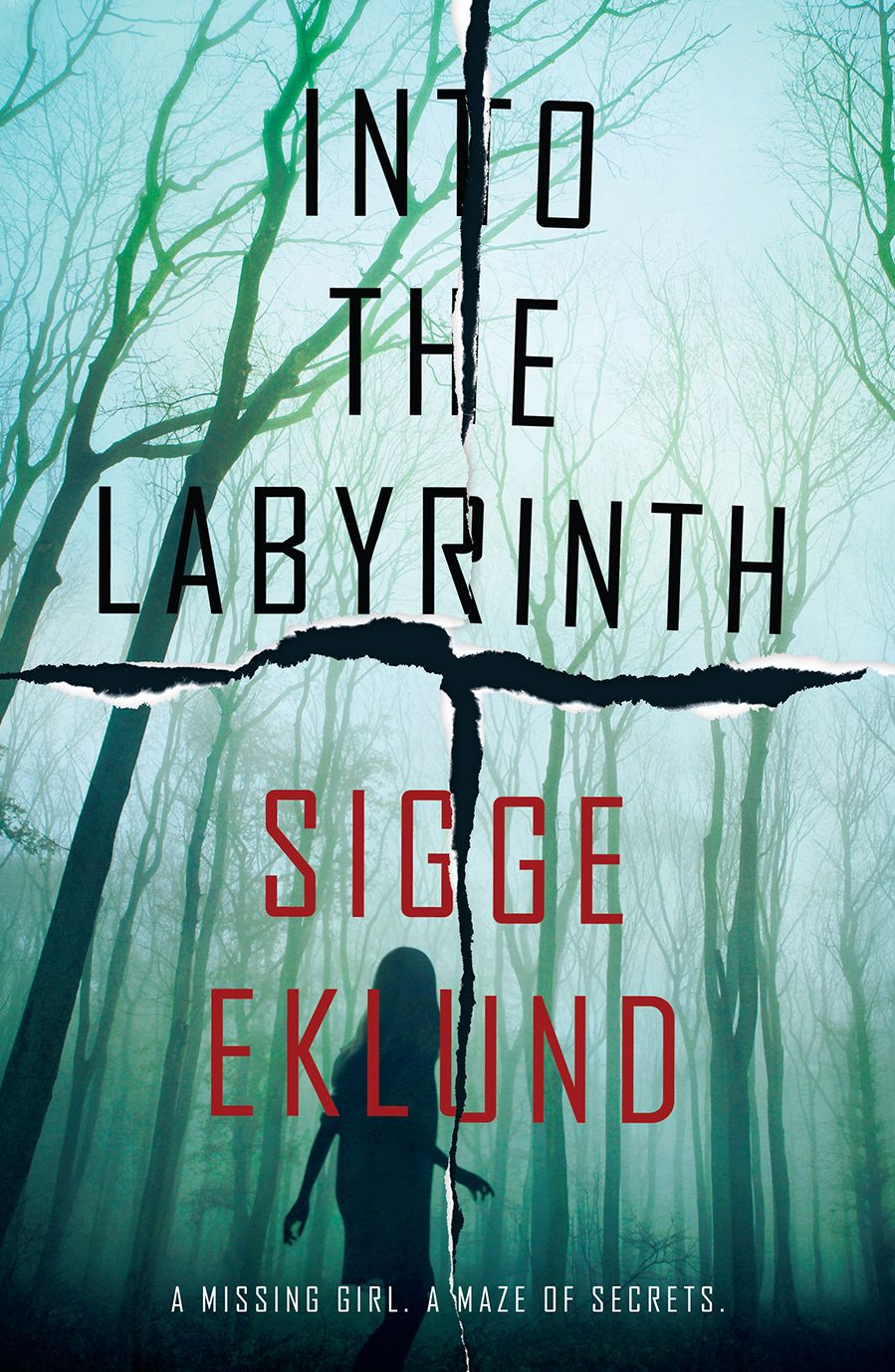 Into the Labyrinth