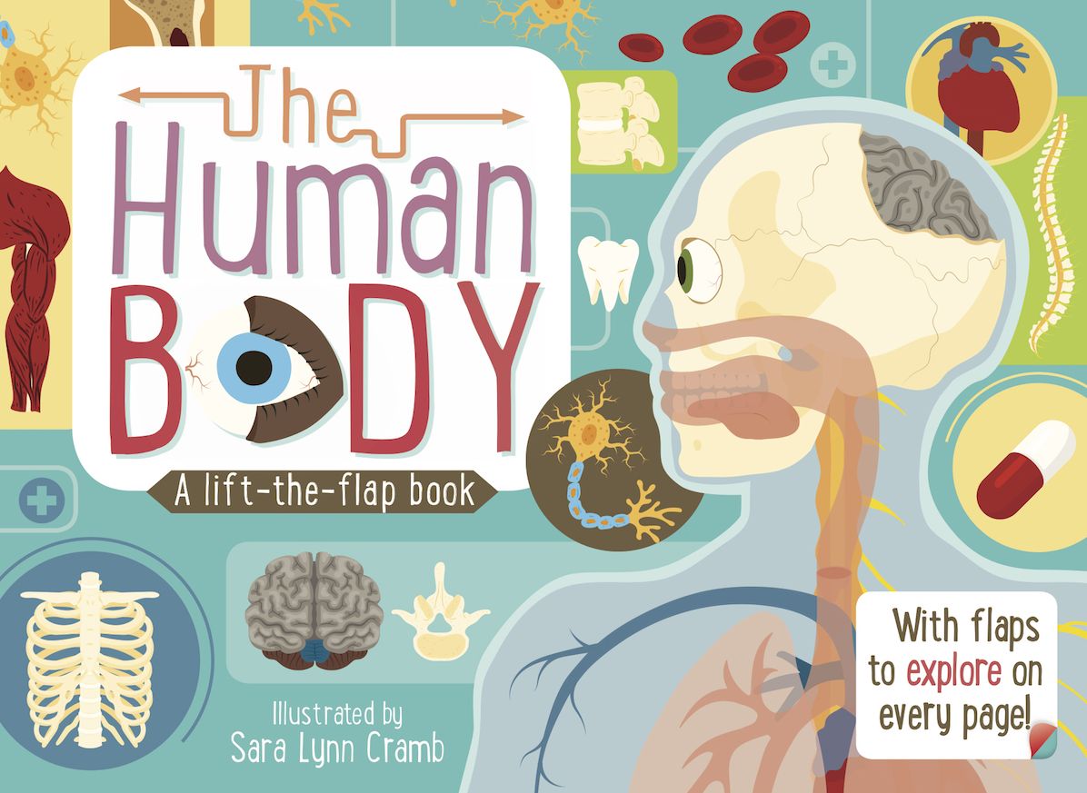 Human Body Lift the Flap
