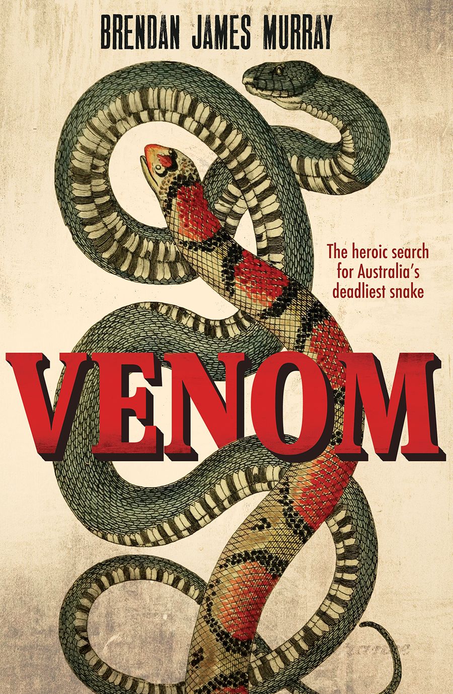 Venom: The heroic search for Australia's deadliest snake